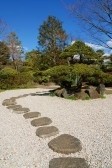 japanese garden.jpg